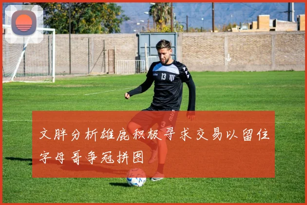 文胖分析雄鹿积极寻求交易以留住字母哥争冠拼图